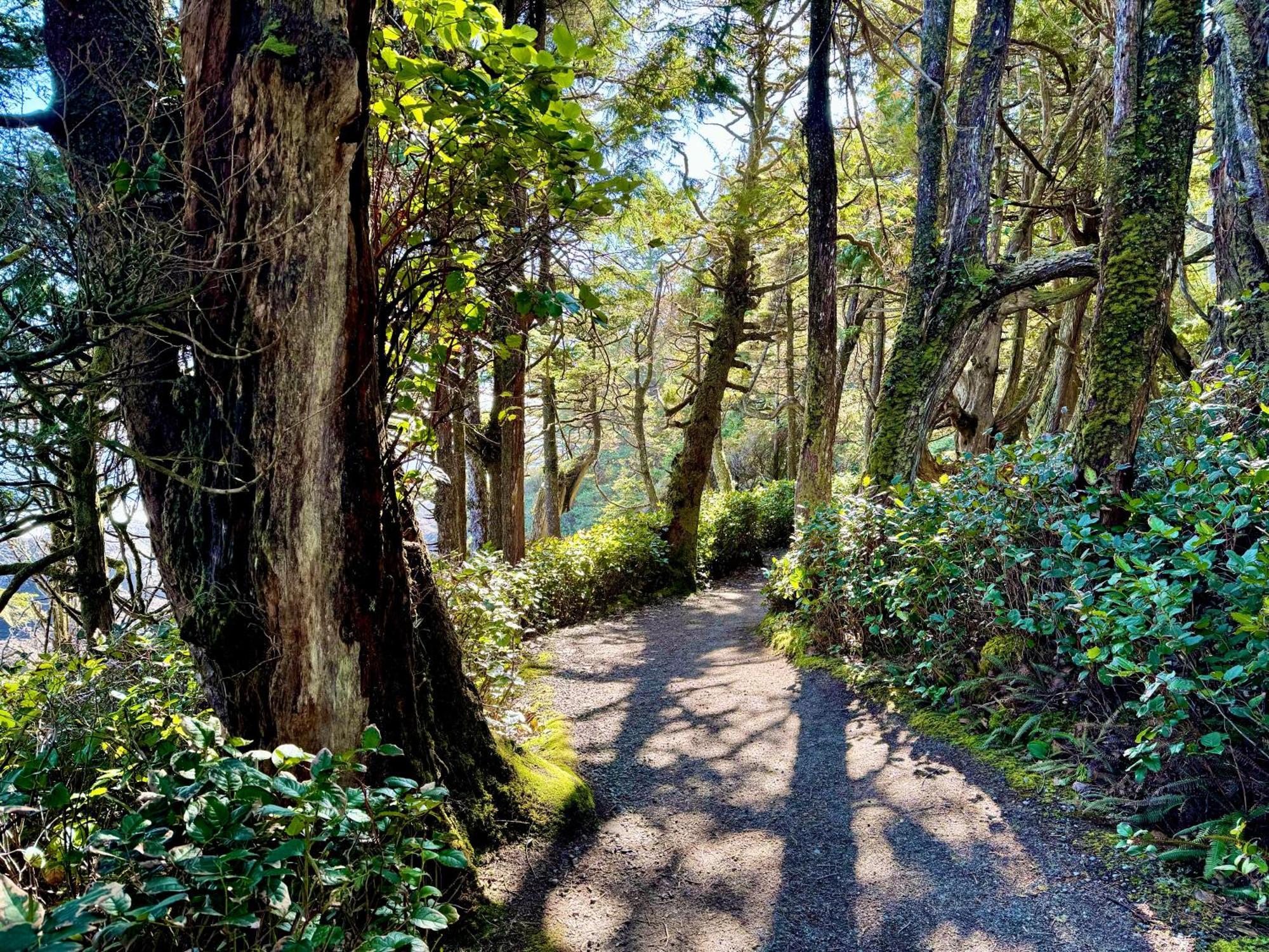 Black Rock Landing Ucluelet Zewnętrze zdjęcie